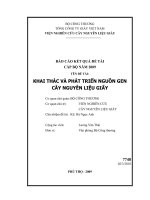 khai thác và phát triển nguồn gen cây nguyên liệu giấy (giai đoạn 2 của đề tài năm 2008)