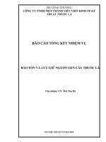 Nhiệm vụ bảo tồn và lưu giữ nguồn gen thuốc lá