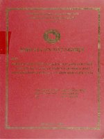 Chiến lược nguồn nhân lực đối với việc tạo dựng và phát triển lợi thế cạnh tranh trong công ty TNHH ABB Việt Nam