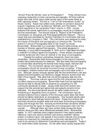 should there be stricter laws on pornography