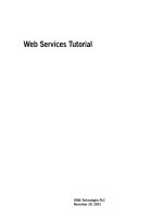 basic web services