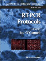 rt-pcr protocols - joe o’connell