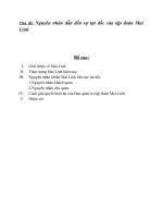 nguyên nhân dẫn đến sự tụt dốc của tập đoàn mai linh