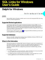 delphi - sql links for windows user's guide - delphi for windows