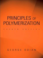 principles of polymerization