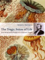 the tragic sense of life-ernst haeckel and the struggle over evolutionary thought