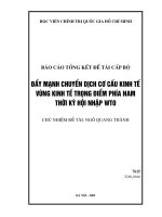 Đẩy mạnh chuyển dịch cơ cấu kinh tế vùng kinh tế trọng điểm phía nam thời kỳ hội nhập WTO