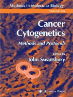 cancer cytogenetics, methods and protocols