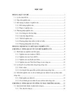 nghiên cứu các nhân tố ảnh hưởng đến mức độ thỏa mãn trong công việc của công nhân may tại công ty may trường giang thành phố tam kỳ tỉnh quảng nam