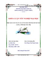 hiệu quả sản xuất lúa  ở xã hải thành, huyện hải lăng, tỉnh quảng trị