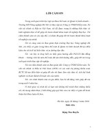 “Kiểm toán chu trình bán hàng và thu tiền trong kiểm toán báo cáo tài chính của công ty TNHH kiểm toán, tư vấn tài chính và đầu tư việt nam”