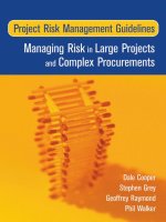 MANAGING RISK IN LARGE PROJECTS AND COMPLEX PROCUREMENTS