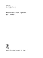 zeolites in industrial separation and catalysis - wiley