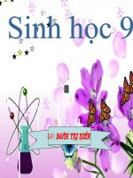 Giáo án bồi dưỡng sinh học lớp 9 Quần thể sinh vật