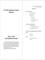 Carnell MATLAB applications in chemical engineering