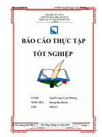 Phân tích tài chính tại công ty Cổ Phần Mai Linh miền trung