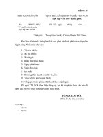 MẪU THÔNG BÁO phát hành tín phiếu trực tiếp cho NHNN pot