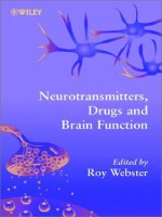 neurotransmitters, drugs and brain function