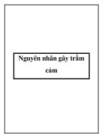 Nguyên nhân gây trầm cảm doc