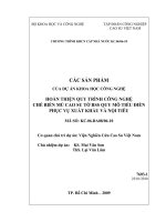Hoàn thiện quy trình công nghệ chế biến mũ cao su tờ RSS quy mô tiểu điền, phục vụ xuất khẩu và nội tiêu   kỷ yếu