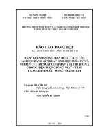Nghiên cứu đề xuất giải pháp khả thi phòng, chống hiện tượng bùng phát vi tảo trong đầm nuôi tôm sú thâm canh