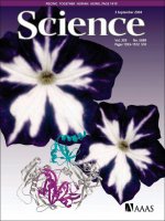 Tạp chí khoa học số  2004-09-03