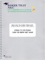 báo cáo tài chính tổng hợp của công ty cổ phần vận tải biển việt nam