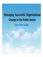 tiểu luận managing successful organizational change in the public sector