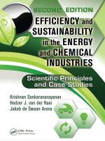 efficiency and sustainability in the energy and chemical industries scientific principles and case studies