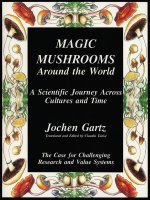 magic mushrooms around the world