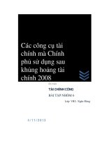Các công cụ tài chính mà Chính phủ sử dụng sau khủng hoảng tài chính 2008
