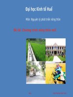 đề tài chương trình nông thôn mới