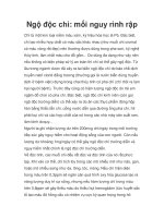 Ngộ độc chì: mối nguy rình rập pdf