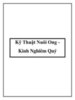 Kỹ Thuật Nuôi Ong Kinh Nghiêm Quý pptx