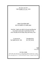 Nghiên cứu, thiết kế, chế tạo pho mũi bằng thép cùng đế giày và phom giầy từ vật liệu khác thích hợp để sản xuất giầy bảo hộ lao động chống chấn thương cơ học