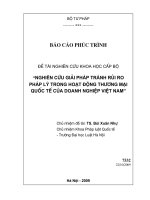 Nghiên cứu giải pháp tránh rủi ro pháp lý trong hoạt động thương mại quốc tế của doanh nghiệp việt nam