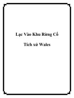 Lạc Vào Khu Rừng Cổ Tích xứ Wales pdf