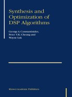 Synthesis and optimization of DSP algorithms - 2004