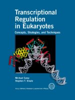 transcriptional regulation in eukaryotes