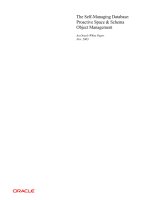 oracle database 10g - proactive space & schema object management 2003