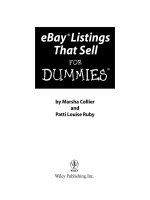 ebay listings that sell for dummies