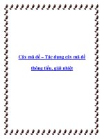 Cây mã đề – Tác dụng cây mã đề thông tiểu, giải nhiệt ppt