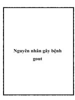 Nguyên nhân gây bệnh gout pptx