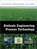 biofuels engineering process technology