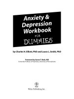 anxiety & depression workbook for dummies (isbn - 0764597930)