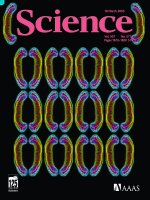 Tạp chí khoa học số  2005-03-18