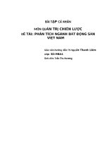 PHÂN TÍCH NGÀNH BẤT ĐỘNG SẢN VIỆT NAM