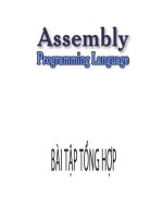 Bài tập ASM tổng hợp