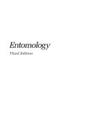 entomology 3rd ed - c.gillott