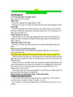 CÁC YẾU TỐ CƠ BẢN ĐỊNH HÌNH VĂN HÓA CỔ TRUYỀN VIỆT LÀ NỀN VĂN HÓA VĂN MINH NÔNG NGHIỆP ppt